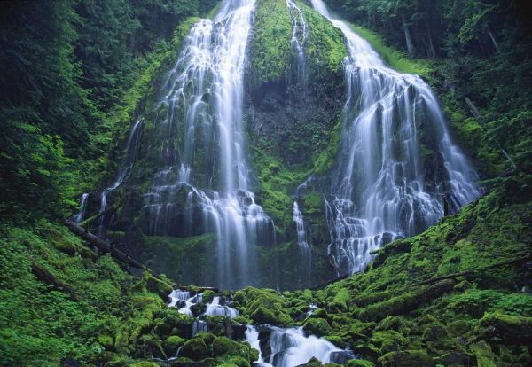 Oregon, Willamette NF The Lower Proxy Falls